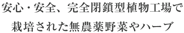 グルメなレストランゲストはもちろん口コミでも評判のヘルシーフレンチ