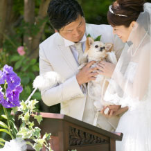 写真:会場を決めた理由は?
